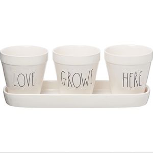 Rae Dunn “Love Grows Here” Tray & Planters